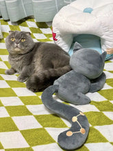 Load image into Gallery viewer, Honkai Star Rail Cat Cake Plushies