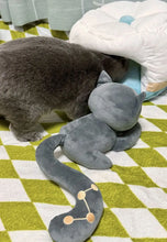 Load image into Gallery viewer, Honkai Star Rail Cat Cake Plushies
