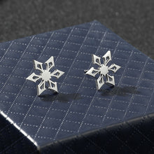 Load image into Gallery viewer, Vision Earrings