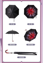 Load image into Gallery viewer, Honkai Star Rail Umbrella Collection [OFFICIAL]
