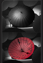 Load image into Gallery viewer, Honkai Star Rail Umbrella Collection [OFFICIAL]
