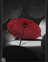 Load image into Gallery viewer, Honkai Star Rail Umbrella Collection [OFFICIAL]
